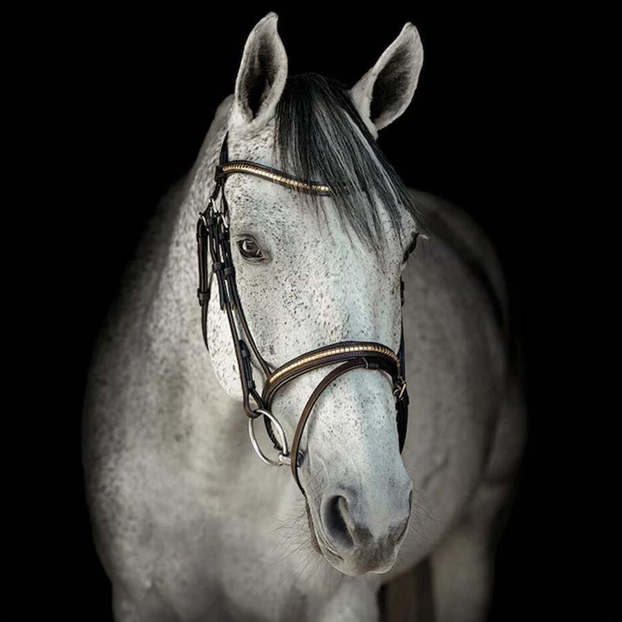 Ogłowie HS Clincher Aachen Brązowe