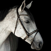 Ogłowie HS Clincher Aachen Brązowe Ogłowie HS Clincher Aachen Brązowe