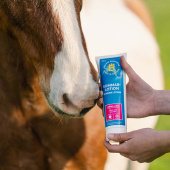Lotion letnie Citronella 250ml Lotion letnie Citronella 250ml