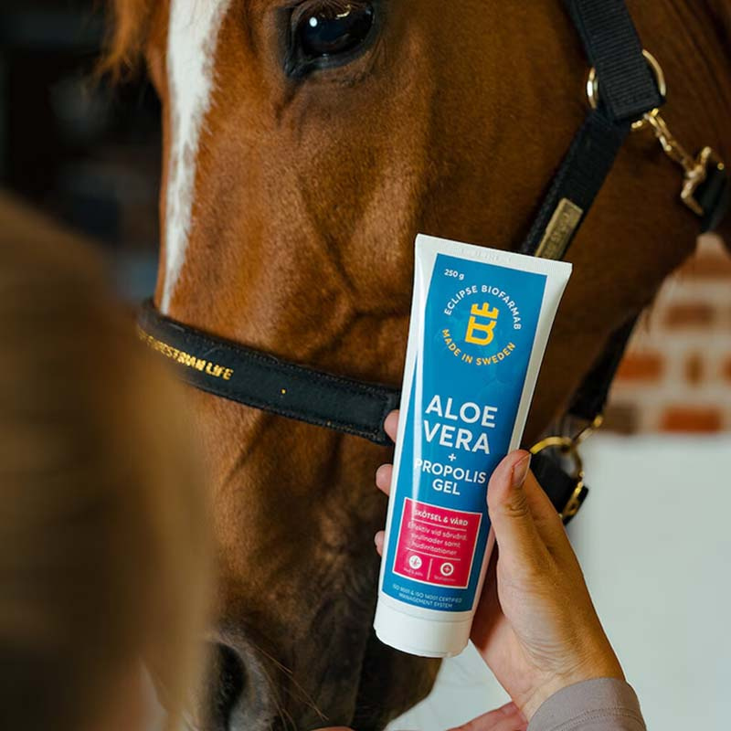 Maść na rany Aloe Vera + Propolis Gel 250g