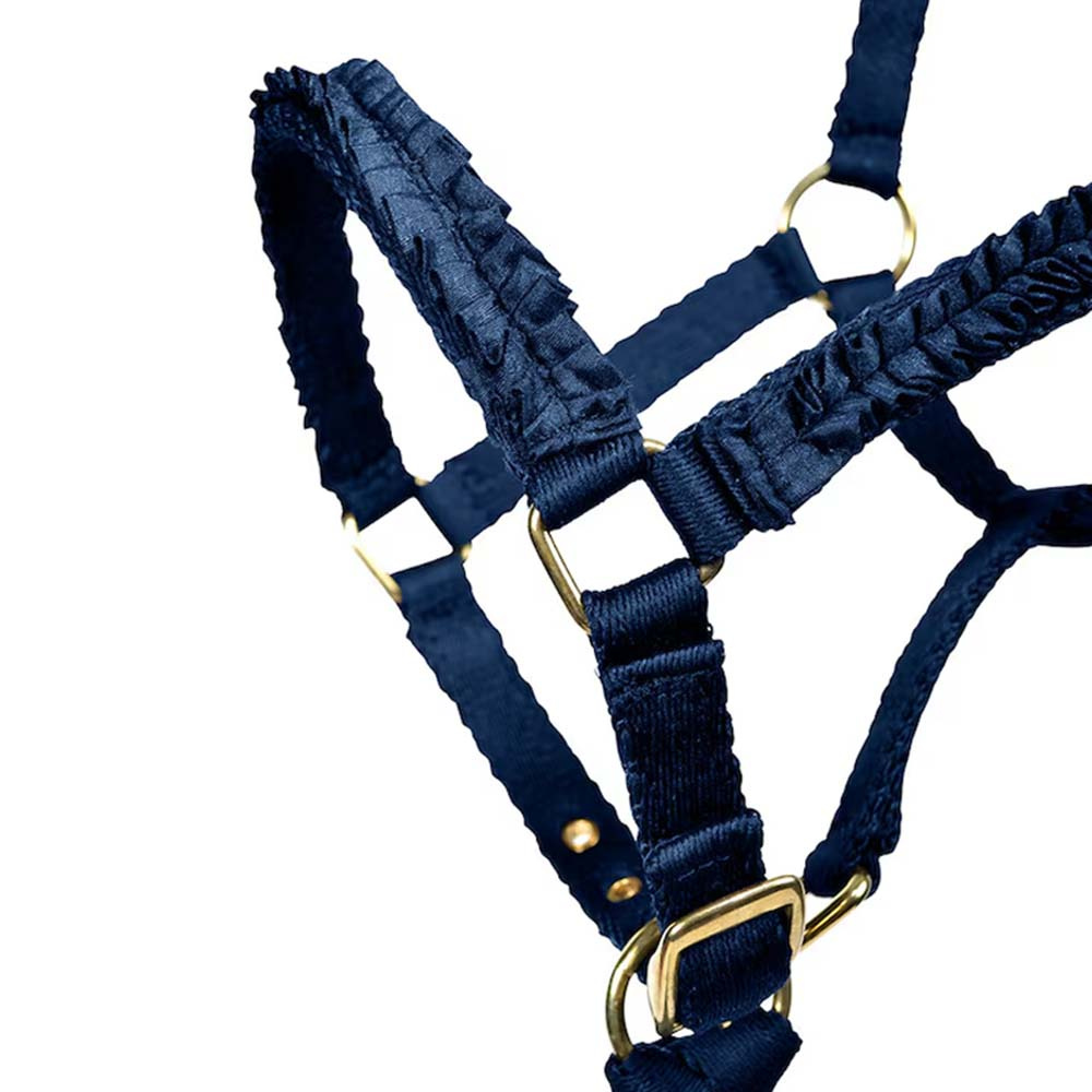 Kantar dla źrebiąt HS Bez podszewki Niebieski