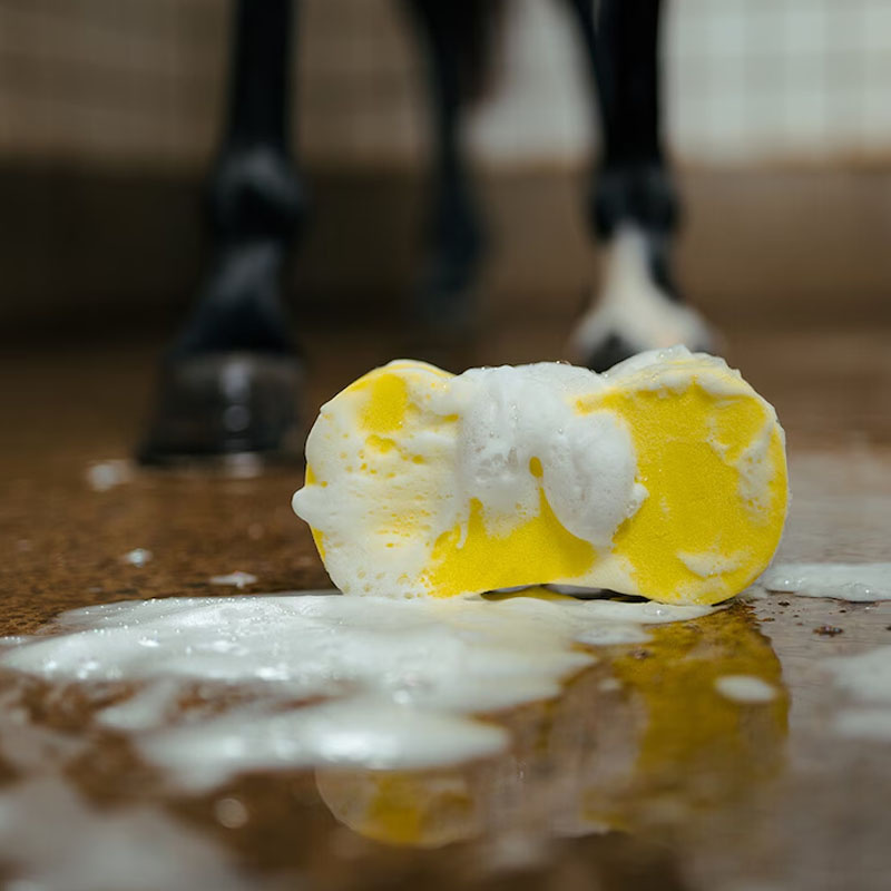 Gąbka HS Infinity Żółta