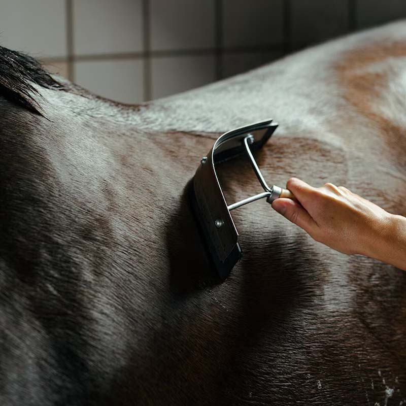 Ściągaczka do potu Brązowa