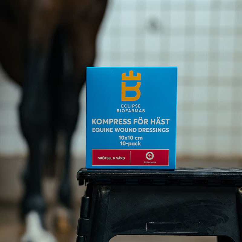 Sterylne kompresy dla koni 10 szt. Białe 10x10 cm
