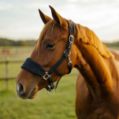 Kantar HS Emma Fleece Czarny Kantar HS Emma Fleece Czarny