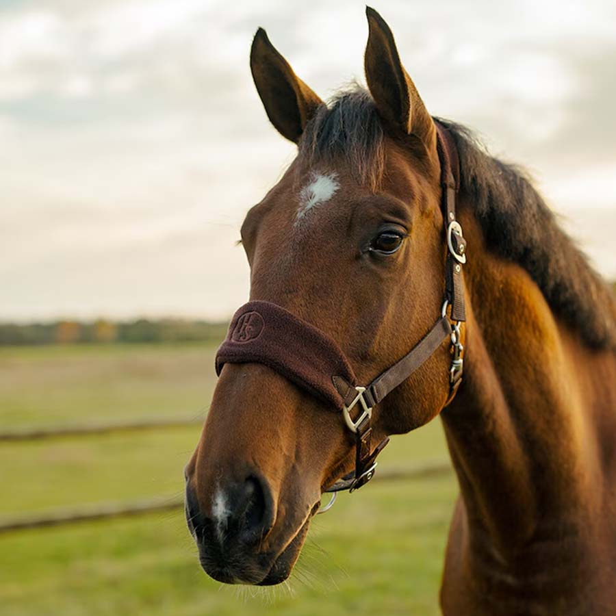 Kantar HS Emma Fleece Brązowy