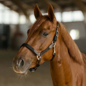 Kantar HS Edit Czarny Kantar HS Edit Czarny