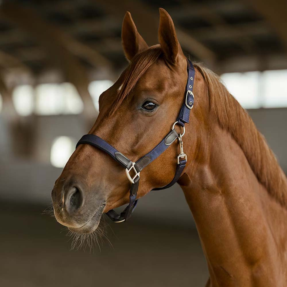 Kantar HS Edit Granatowy