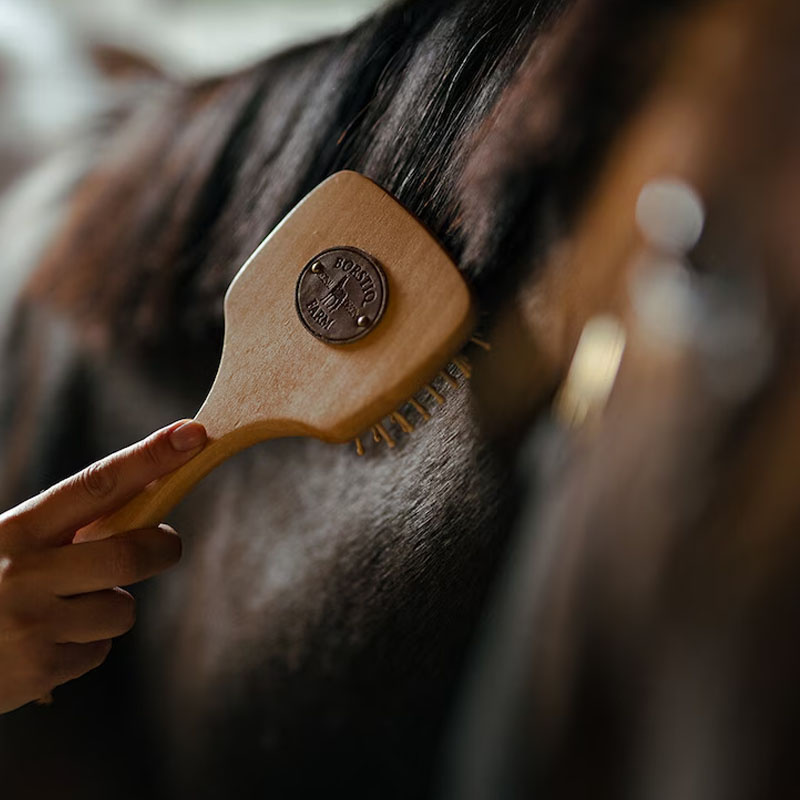 Szczotka do grzywy i ogona Brązowa
