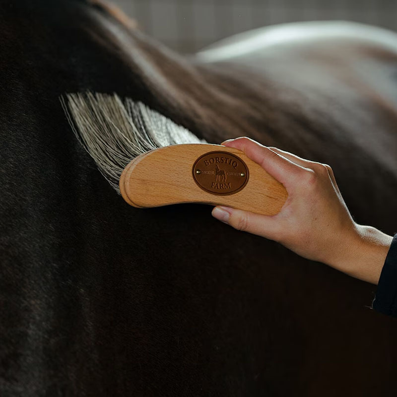 Szczotka Bananowa Poly X-Long Brązowa
