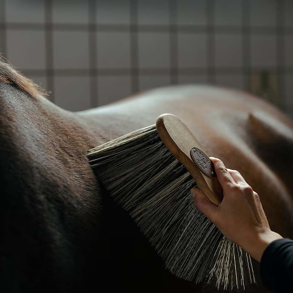 Szczotka do ciała Poly X-Long Brązowa