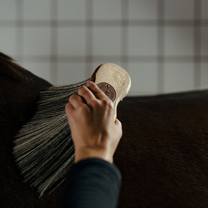 Szczotka do ciała Poly X-Long Brązowa