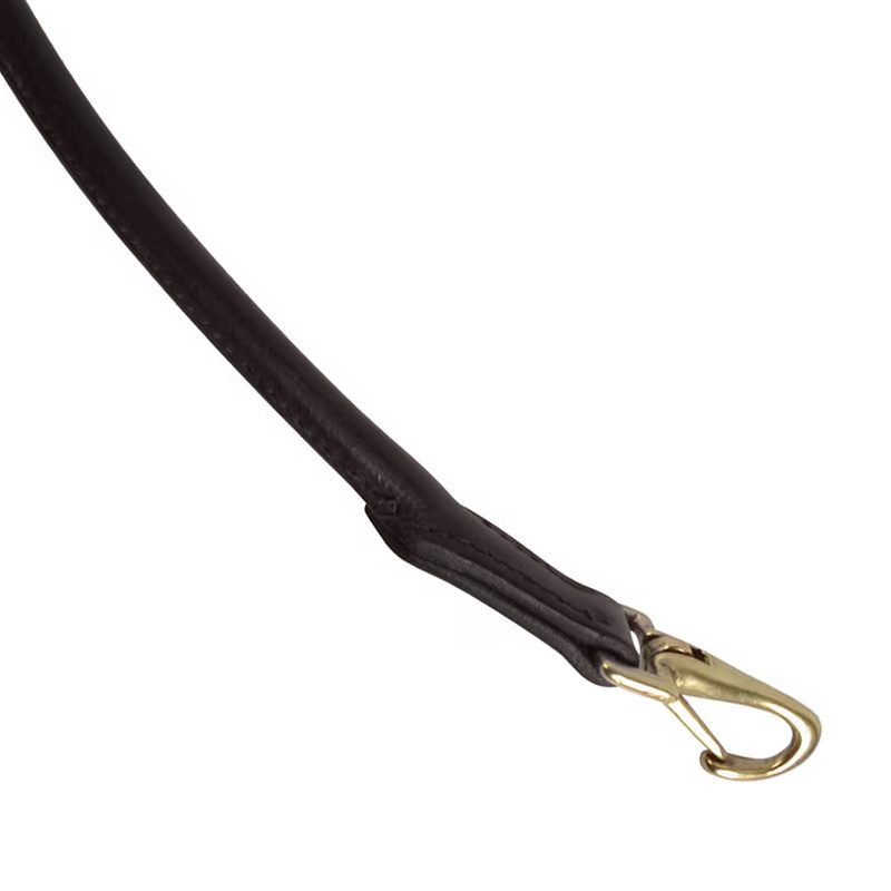 Uchwyt do Siodła HS Brązowy/Mosiężne okucia