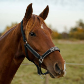 Kantar odblaskowy HS Czarny Kantar odblaskowy HS Czarny