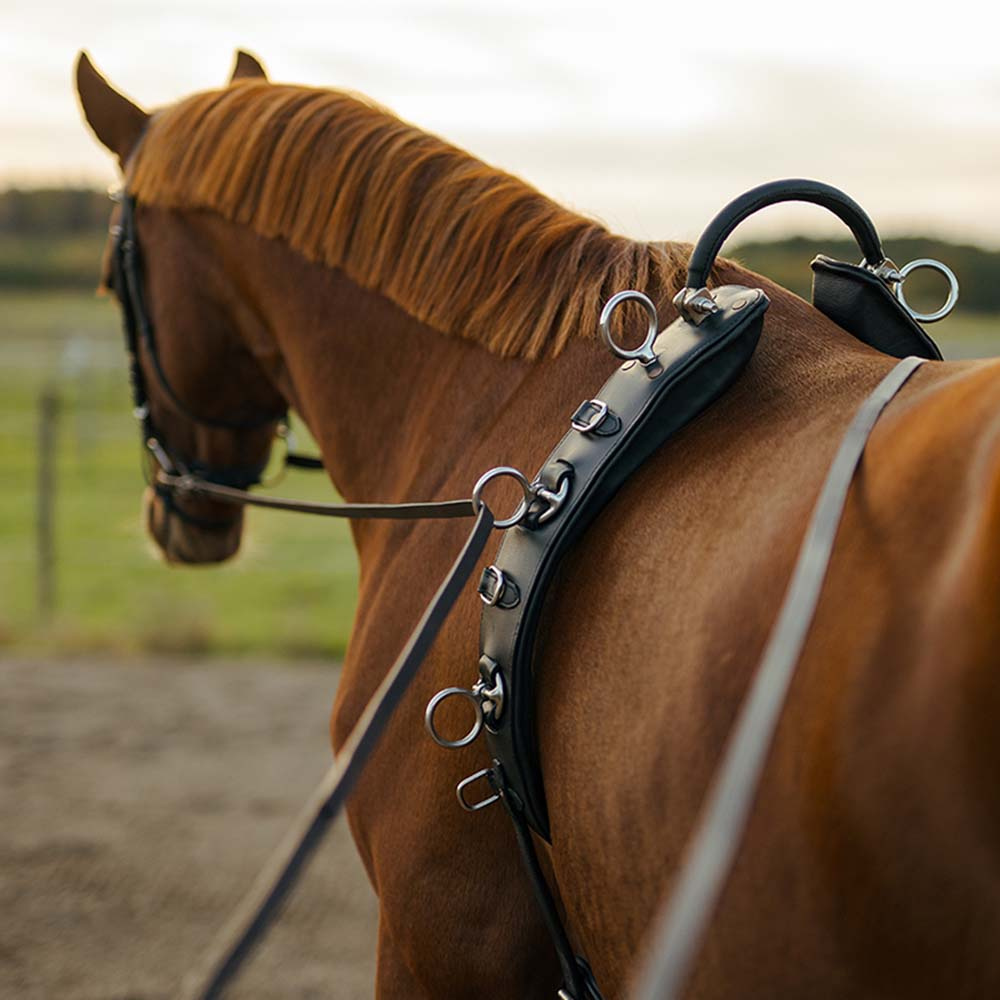 Pas do pracy z ziemi z łukiem HS Czarny