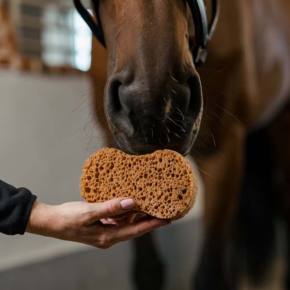 Gąbka Infinity Brązowa