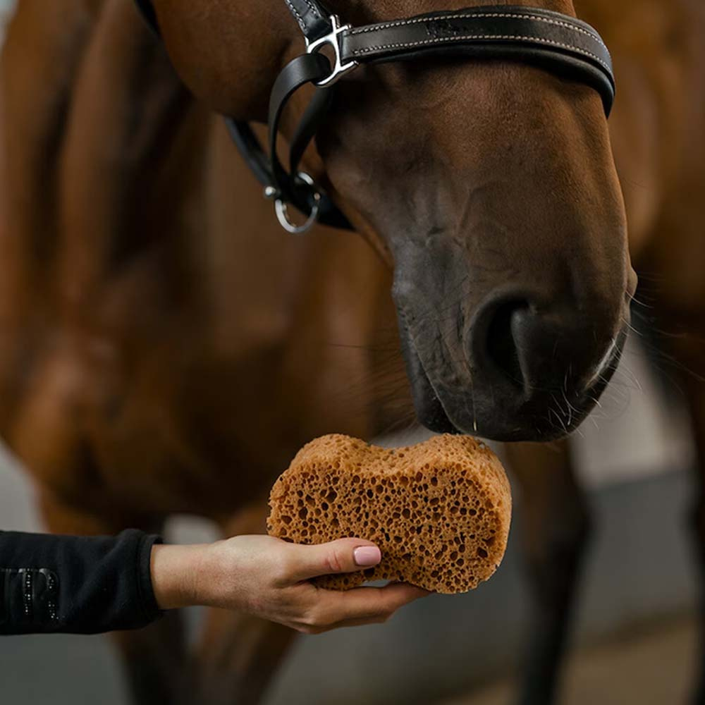 Gąbka Infinity Brązowa