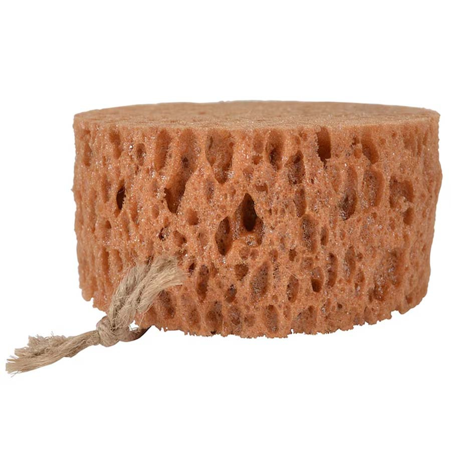 Okrągła Gąbka Brązowa