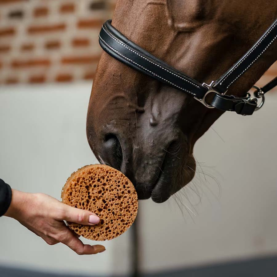 Okrągła Gąbka Brązowa