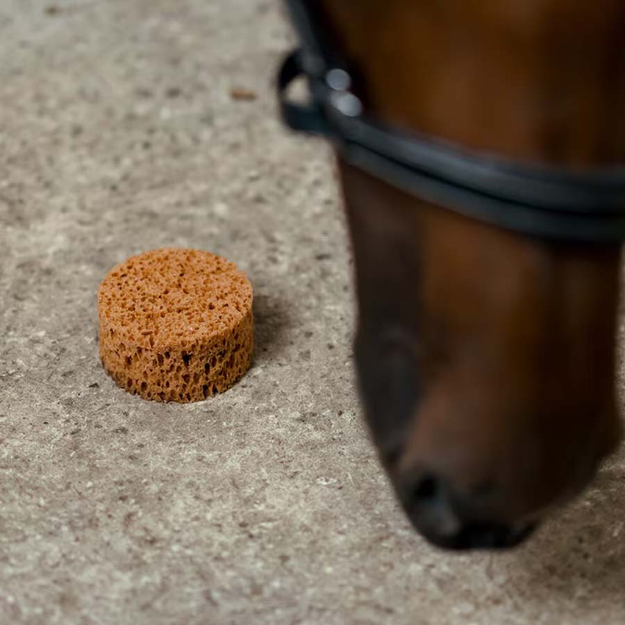 Okrągła Gąbka Brązowa