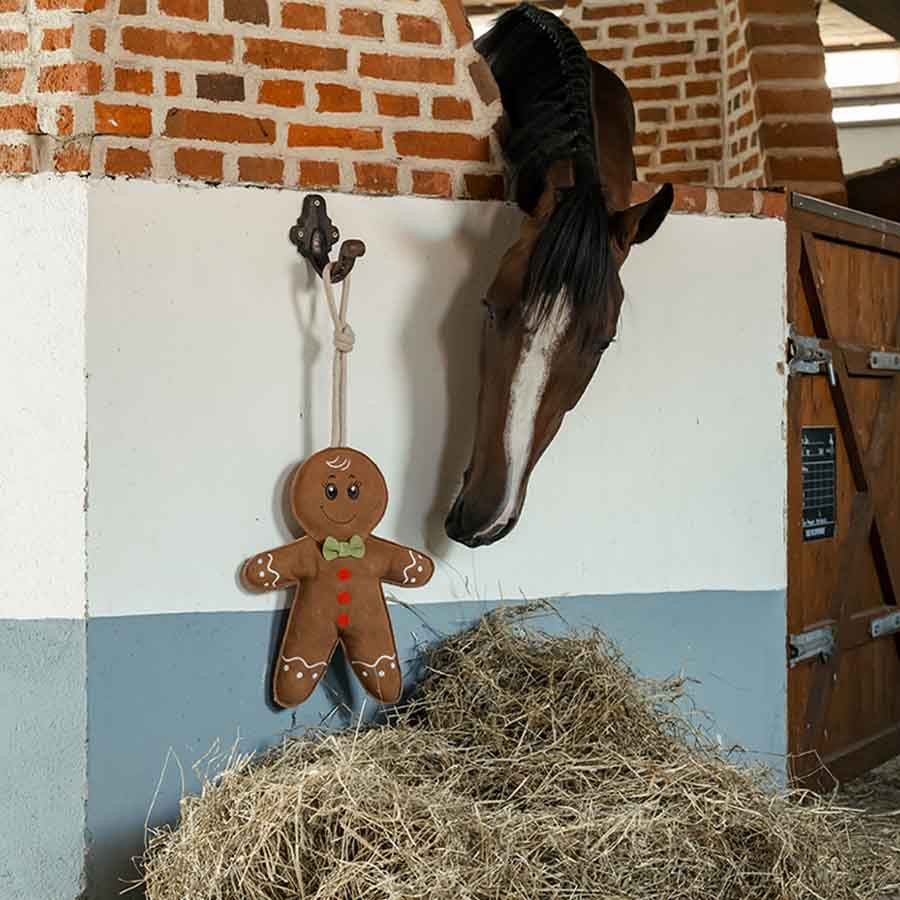 Zabawka dla Konia HS Ciastek zamszowy
