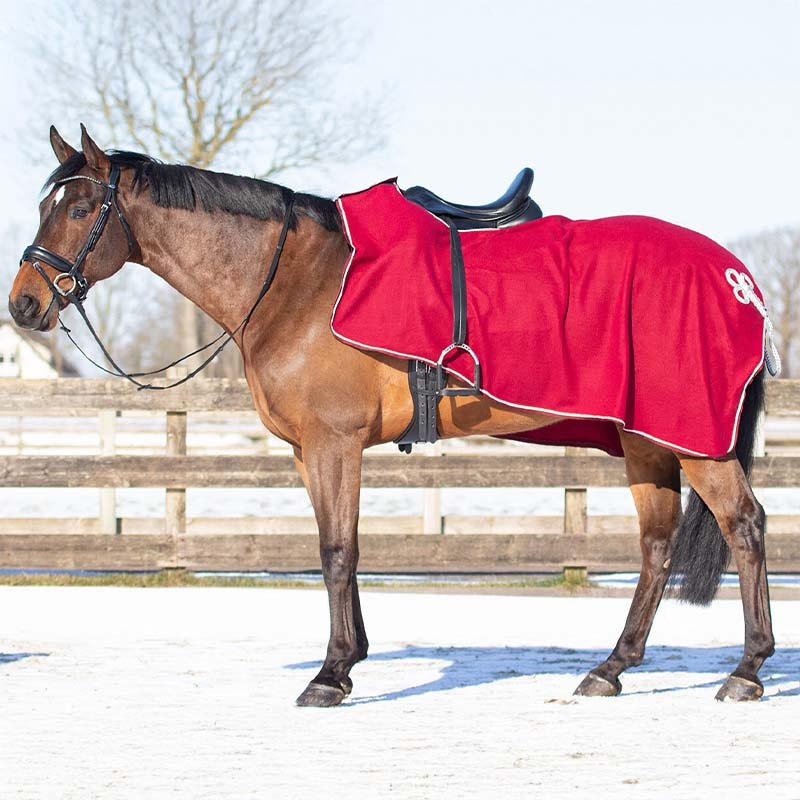 Derka treningowa Ornament Fleece Bordowo/Srebrna
