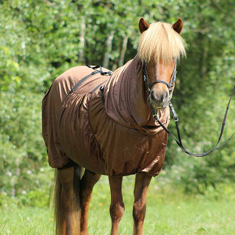 Derka egzemowa Icelandic UV-Protection Brązowa