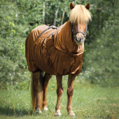 Derka egzemowa Icelandic UV-Protection Brązowa Derka egzemowa Icelandic UV-Protection Brązowa