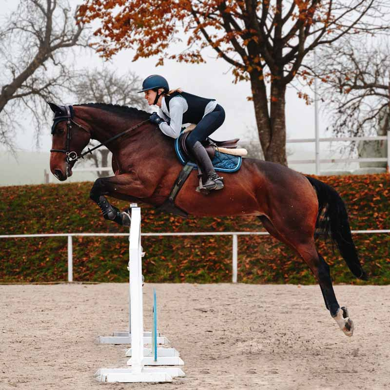 Ochraniacz pleców Ballistic Flex Fit Slim Czarny/Bordowy