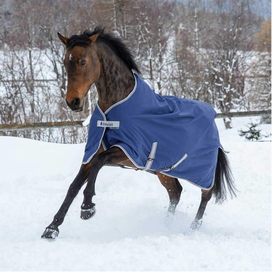 Derka zimowa Pony Freedom Turnout 150g Granatowa