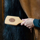 Szczotka do grzywy/ogona Szczotka do grzywy/ogona
