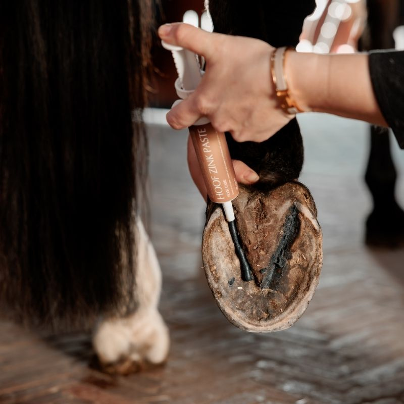 Maść do kopyt Equi Hoof Zinc Paste 60ml