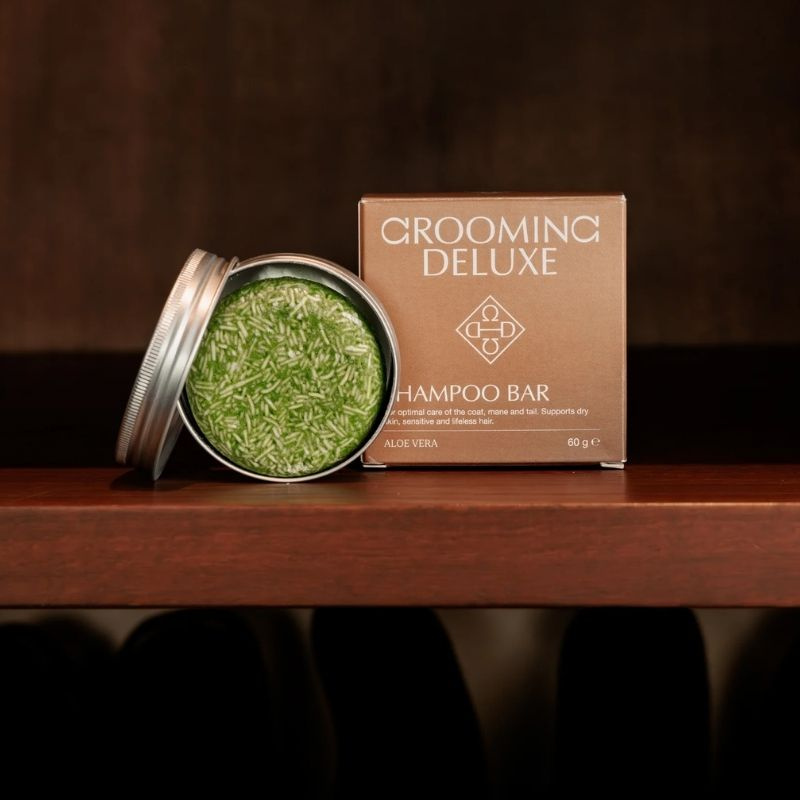 Szampon w kostce Aloe Vera 60g