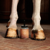 Olej do kopyt Shine Natural 500ml Olej do kopyt Shine Natural 500ml