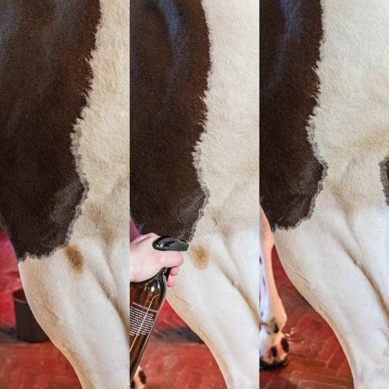 Suchy szampon Green Spot & Dust Remover Almond 500ml