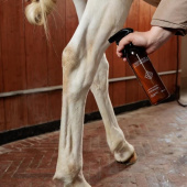 Suchy szampon Green Spot & Dust Remover Almond 500ml Suchy szampon Green Spot & Dust Remover Almond 500ml