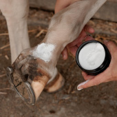 Mud Fever Creme Plus 250ml Mud Fever Creme Plus 250ml