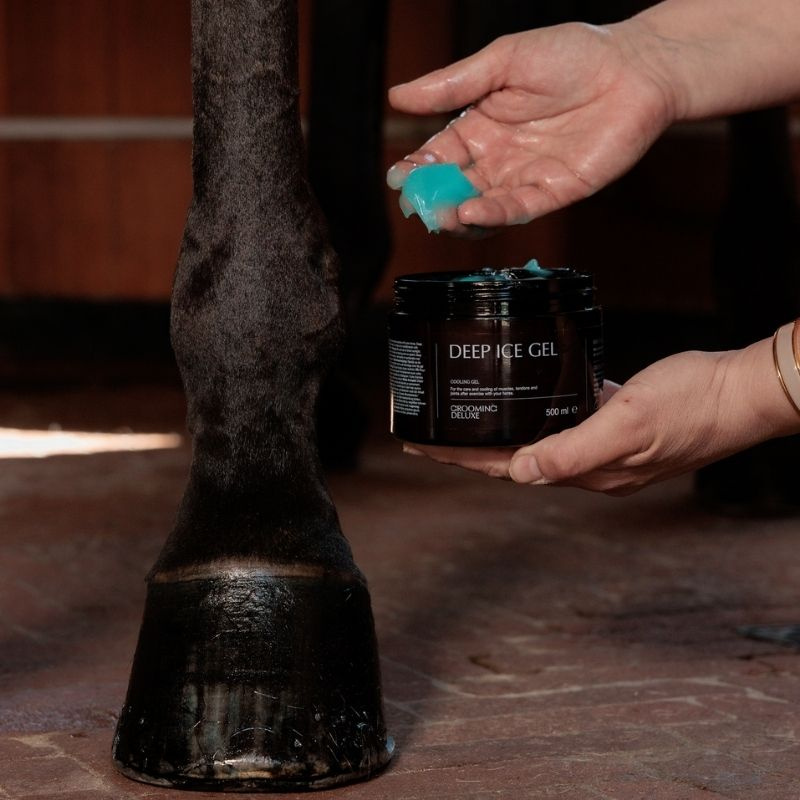 Żel chłodzący Deep Ice Gel 500ml