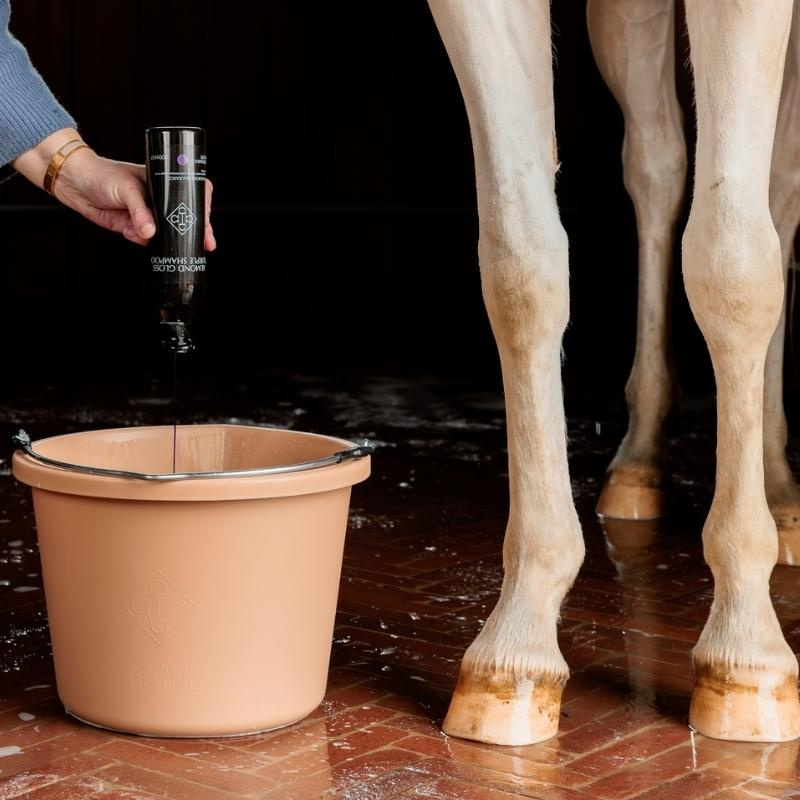 Szampon dla siwych koni Almond Gloss Purple Shampoo 500ml