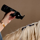 Szampon dla siwych koni Almond Gloss Purple Shampoo 500ml Szampon dla siwych koni Almond Gloss Purple Shampoo 500ml