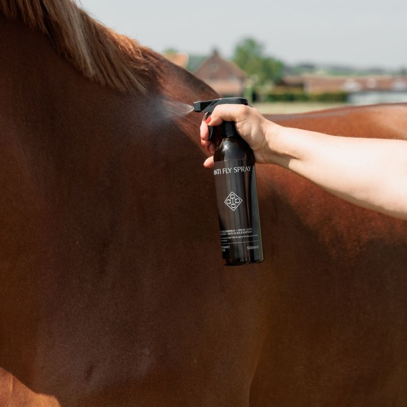 Spray przeciw owadom Anti Fly Spray 500ml