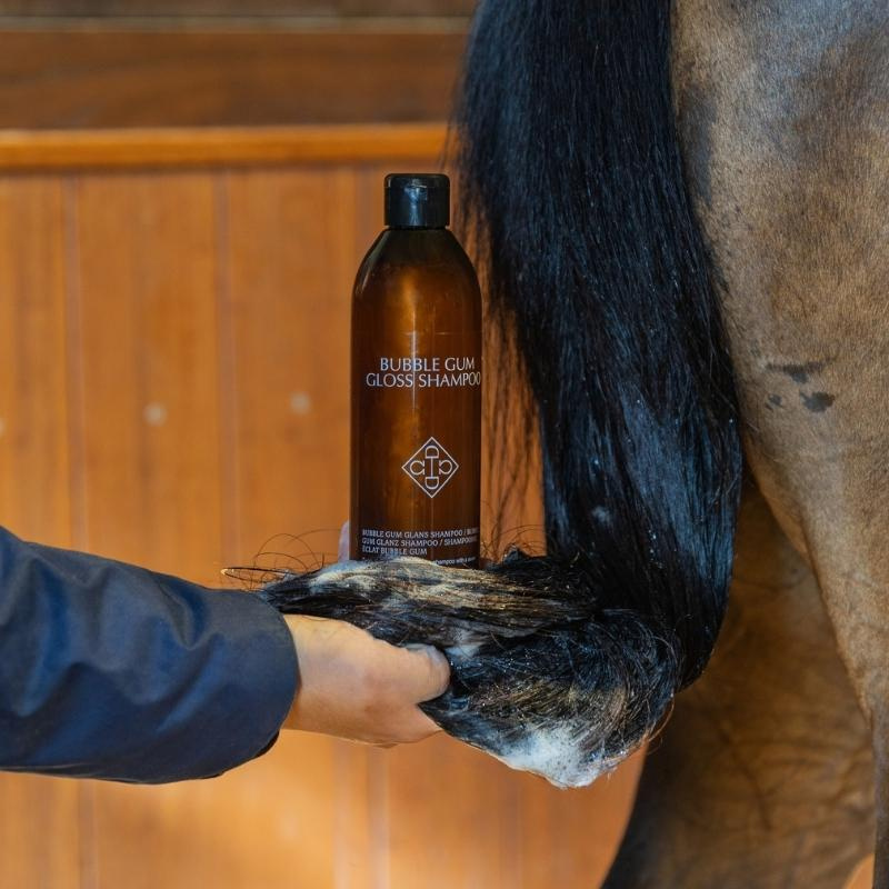 Szampon Bubble Gum Gloss 500ml