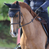 Nauszniki Show-Line Soundless Granatowe Nauszniki Show-Line Soundless Granatowe