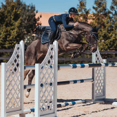 Czaprak ES Midnight Blue Czaprak ES Midnight Blue