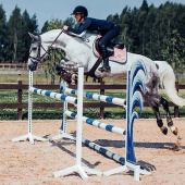 Czaprak ES Pink Pearl Czaprak ES Pink Pearl