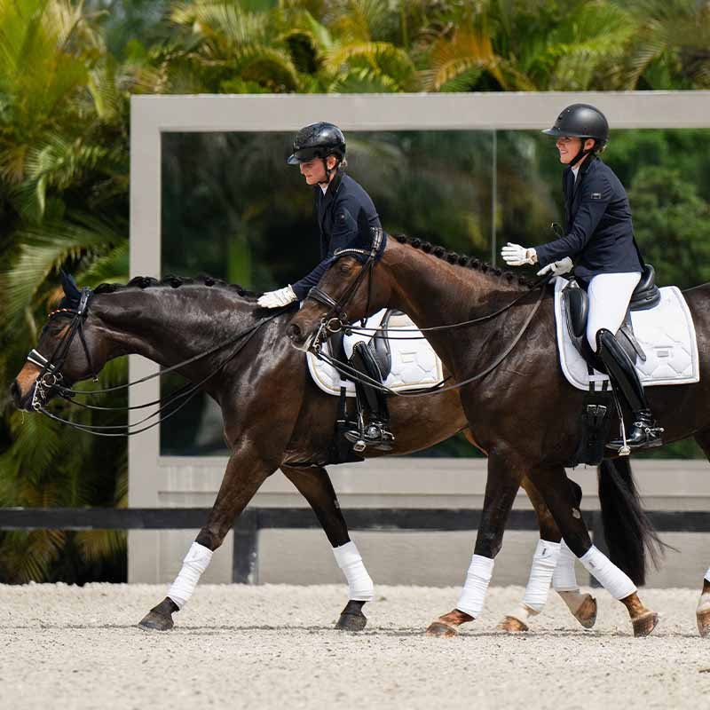 Czaprak ujeżdżeniowy ES White Perfection Silver