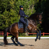 Owijki ES Midnight Blue Owijki ES Midnight Blue