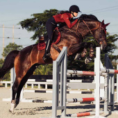 Czaprak ES Bordeaux Czaprak ES Bordeaux