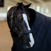 Anatomiczny kantar skórzany ES Glimmer Black Edition Anatomiczny kantar skórzany ES Glimmer Black Edition