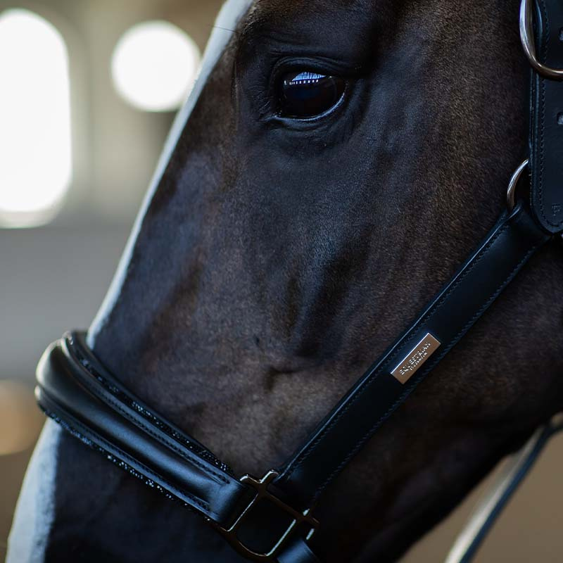 Anatomiczny kantar skórzany ES Glimmer Black Edition